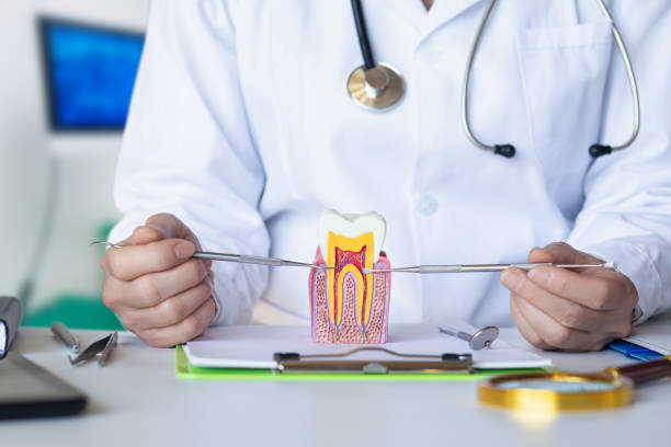 Best Dental Abscess Treatment in Beech Grove, IN